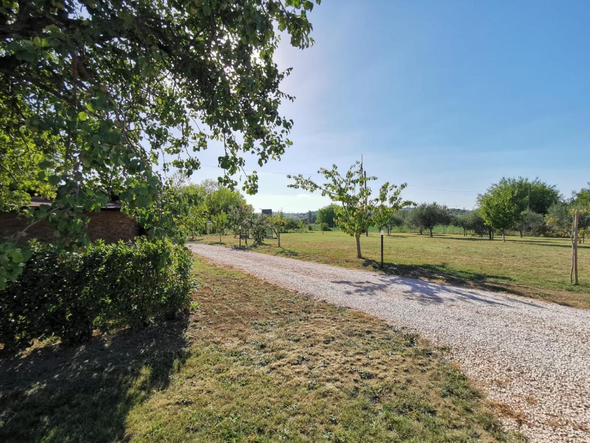 La Casina Di Ely Apartment Sant'Andrea in Casale Exterior photo